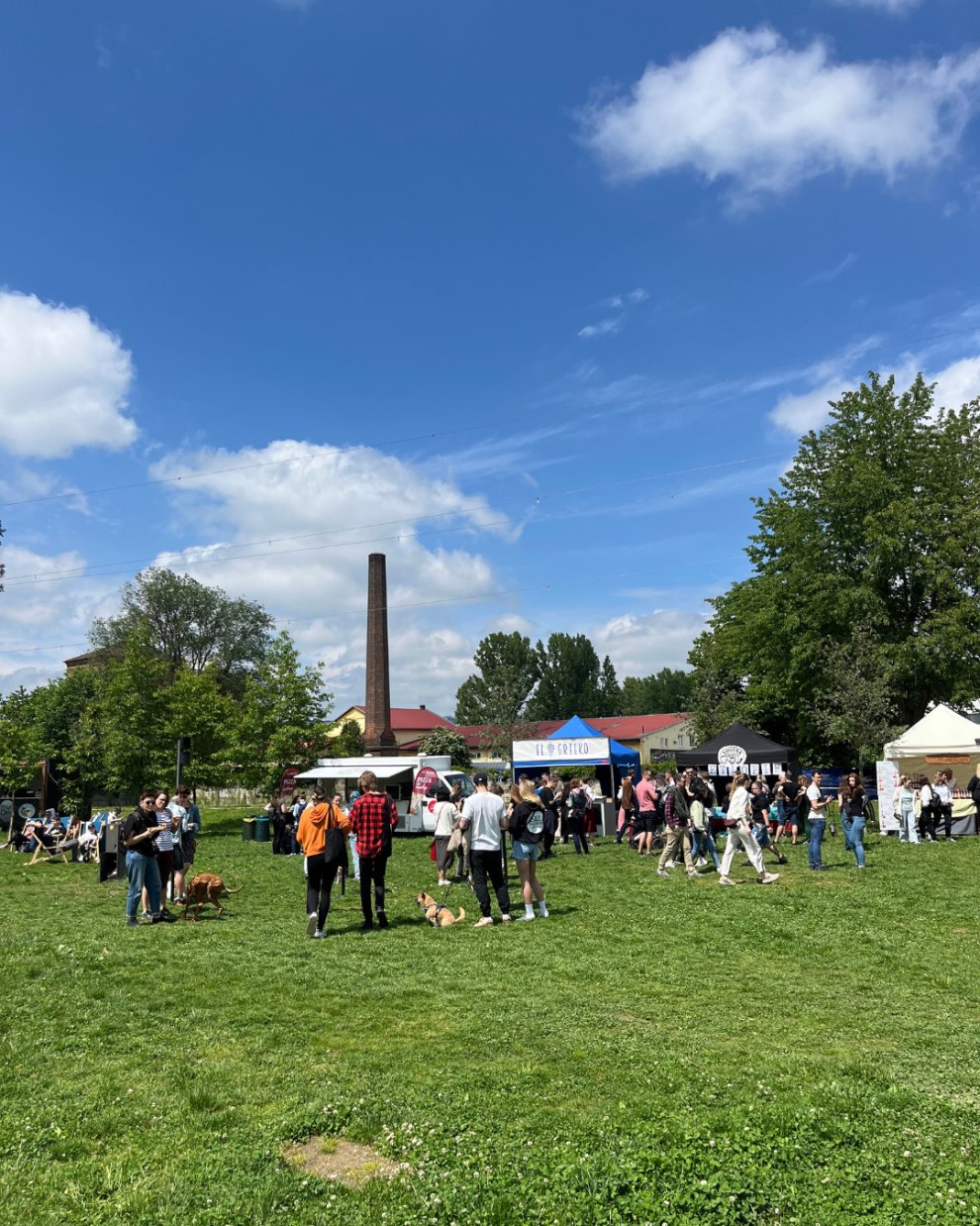 Brno Picnic Festival