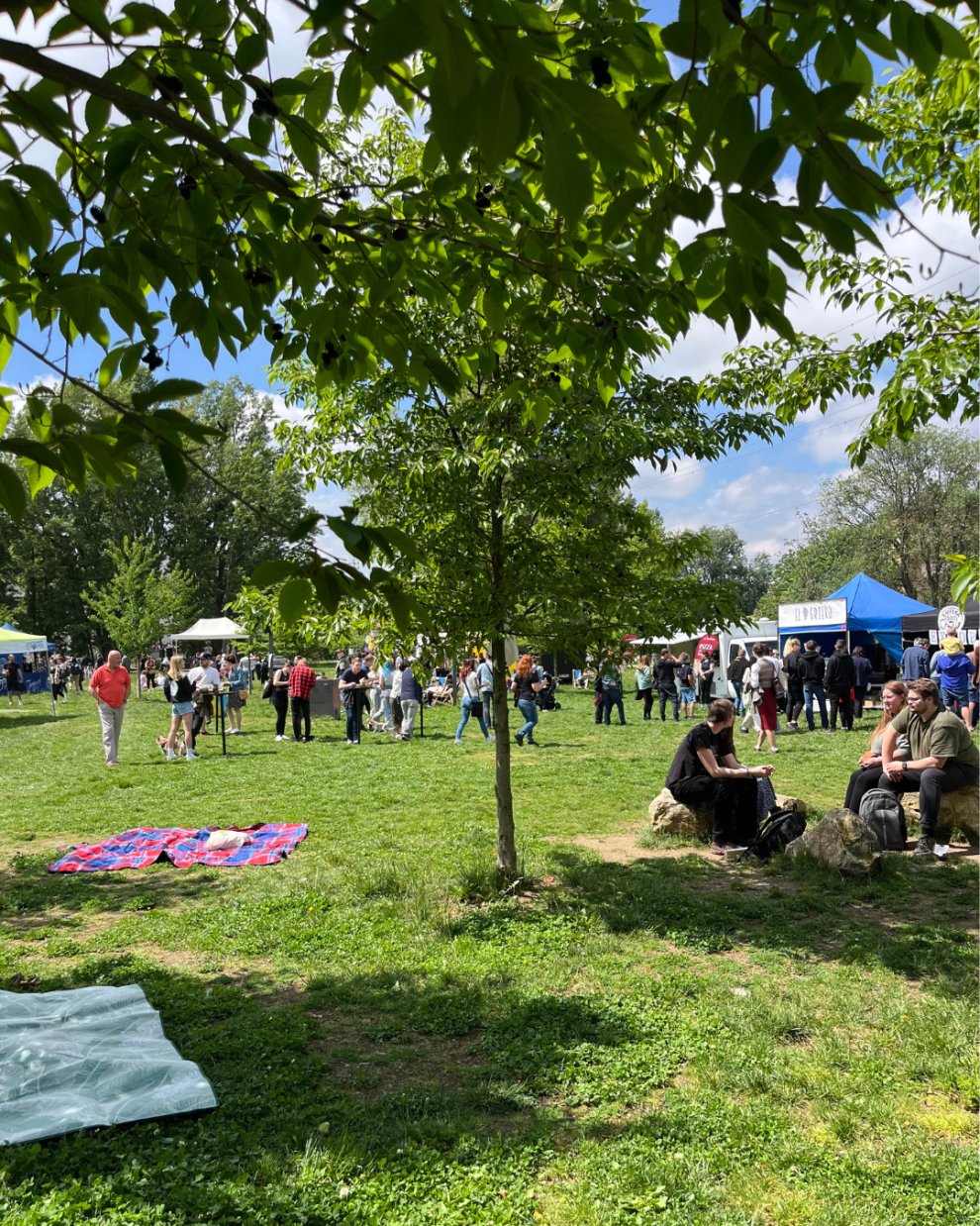 Brno Picnic Festival