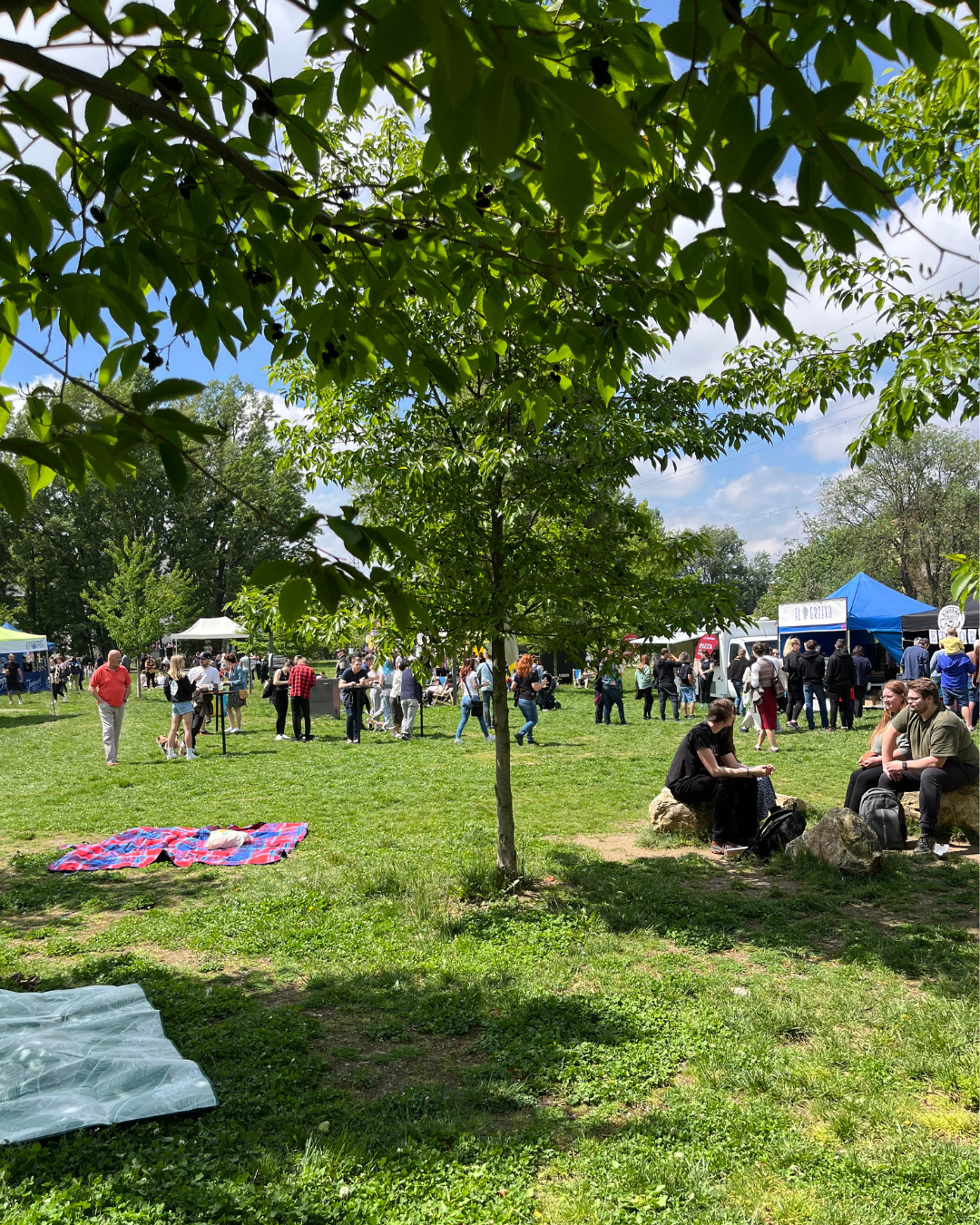 Piknik festival Brno