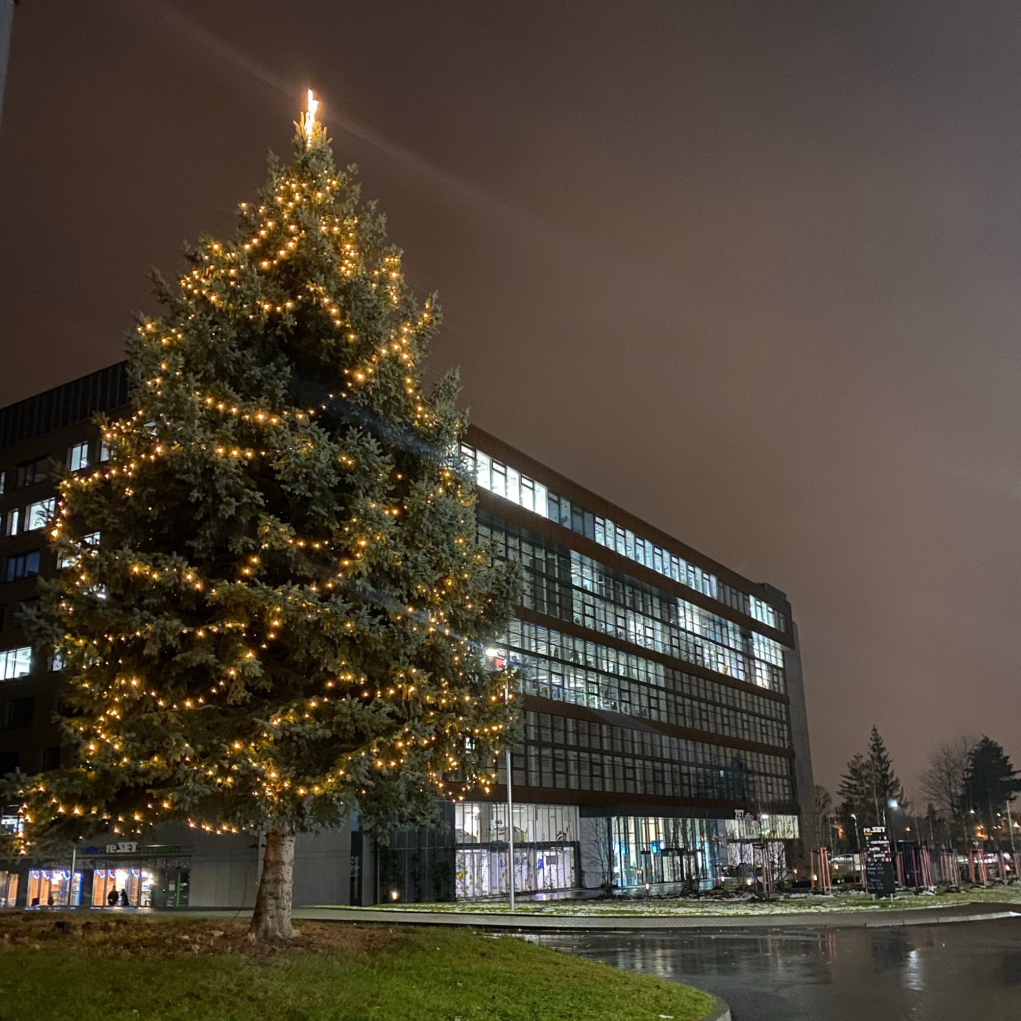 Christmas tree at Nová Zbrojovka