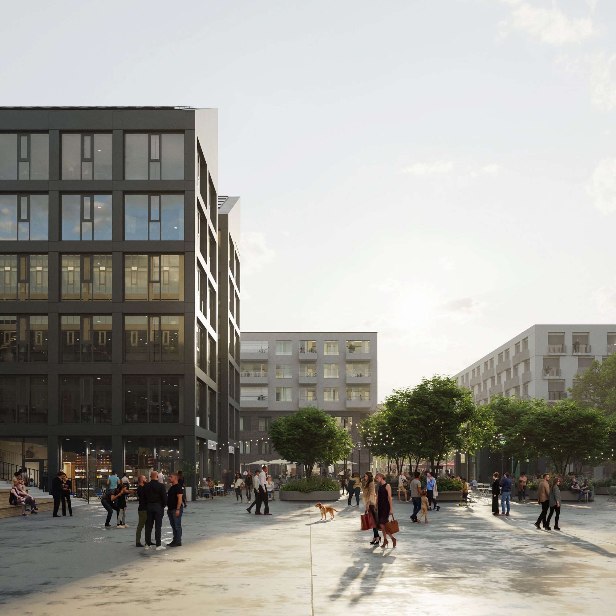 Občanská vybavenost v Nové Zbrojovce